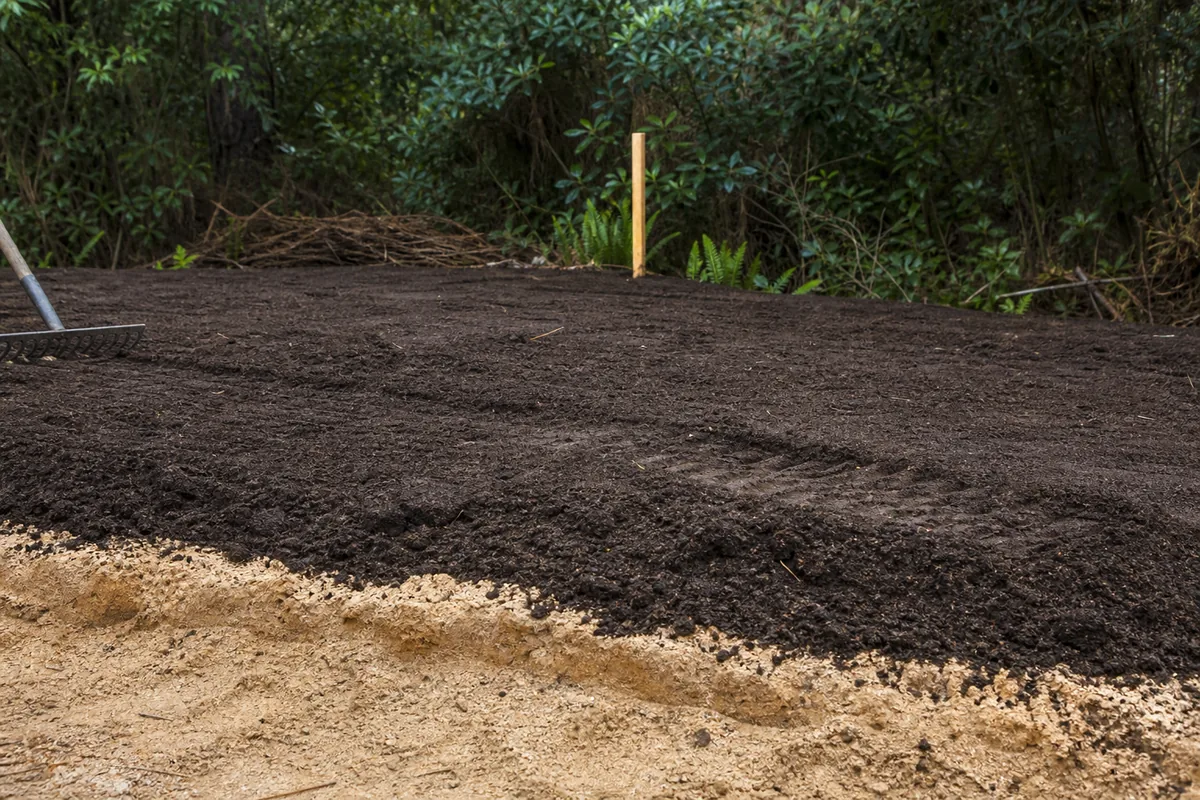 Sol sableux clair d’un jardin landais recouvert d’une couche de terre végétale fraîchement régalée